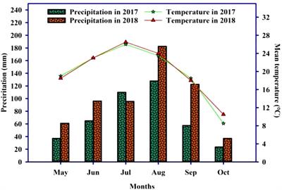 Evaluating the influence of straw mulching and intercropping on nitrogen uptake, crop growth, and yield performance in maize and soybean